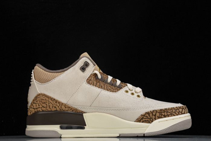 Air Jordan 3 "Palomino" CT8532-102