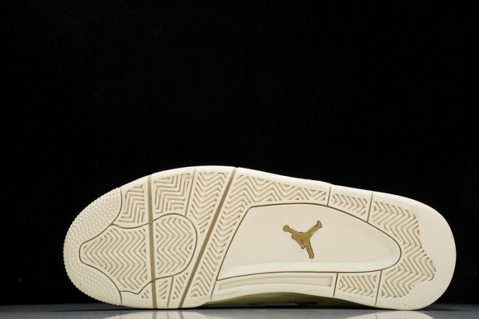 WMNS Air Jordan4 Retro AQ9129-170