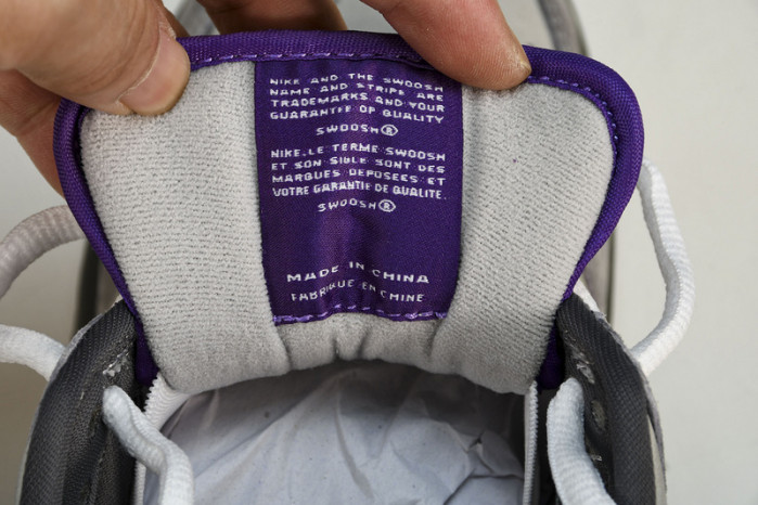 Nike Dunk SB Low Purple Pigeon 304292-051