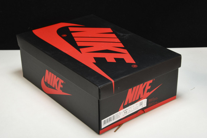 Air Jordan 1 High "Starfish" DO9369-101