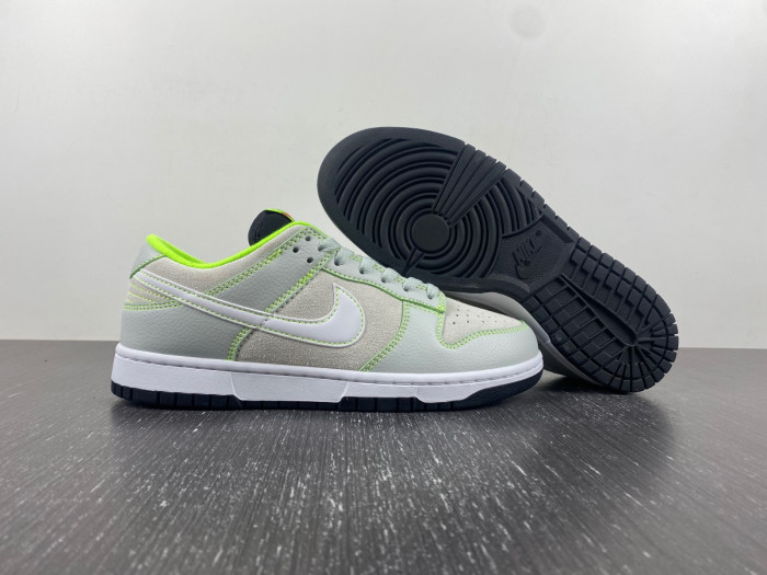 Dunk Low Oregon PE “Ducks of a Feather”   FQ7260-001