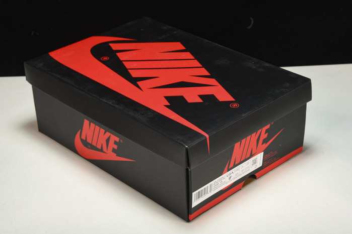 Air Jordan 1 Retro High OG“Bleached Coral”  555088-108