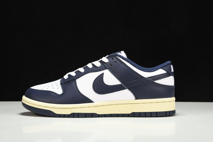 Nike Dunk Low DD1503-115