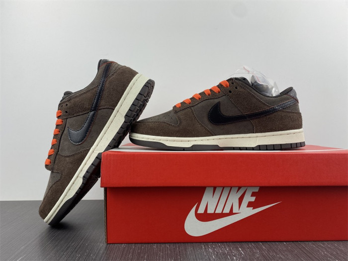 Nike Dunk Low Retro  DQ8801-200