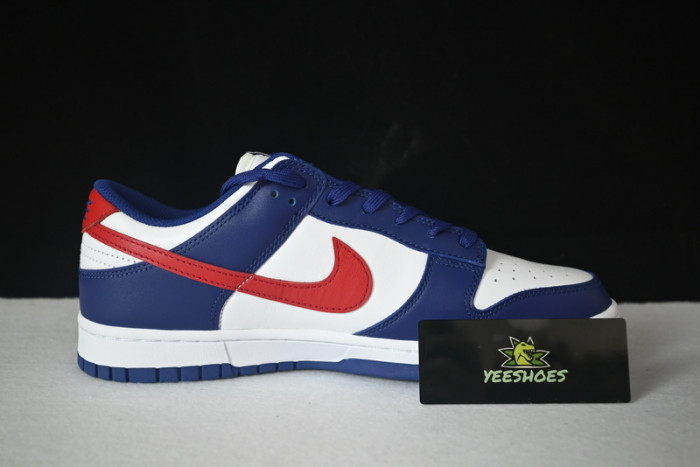 NIKE DUNK LOW DD1503-119