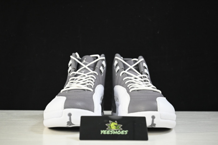 Air Jordan 12 AJ12 Royalty STEALTH  CT8013-015