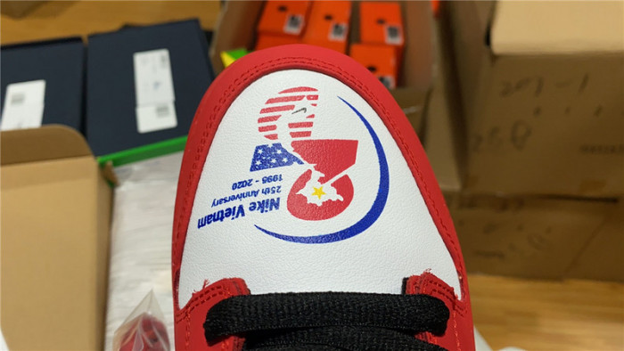 Nike SB Dunk Low 25th years 309242-307